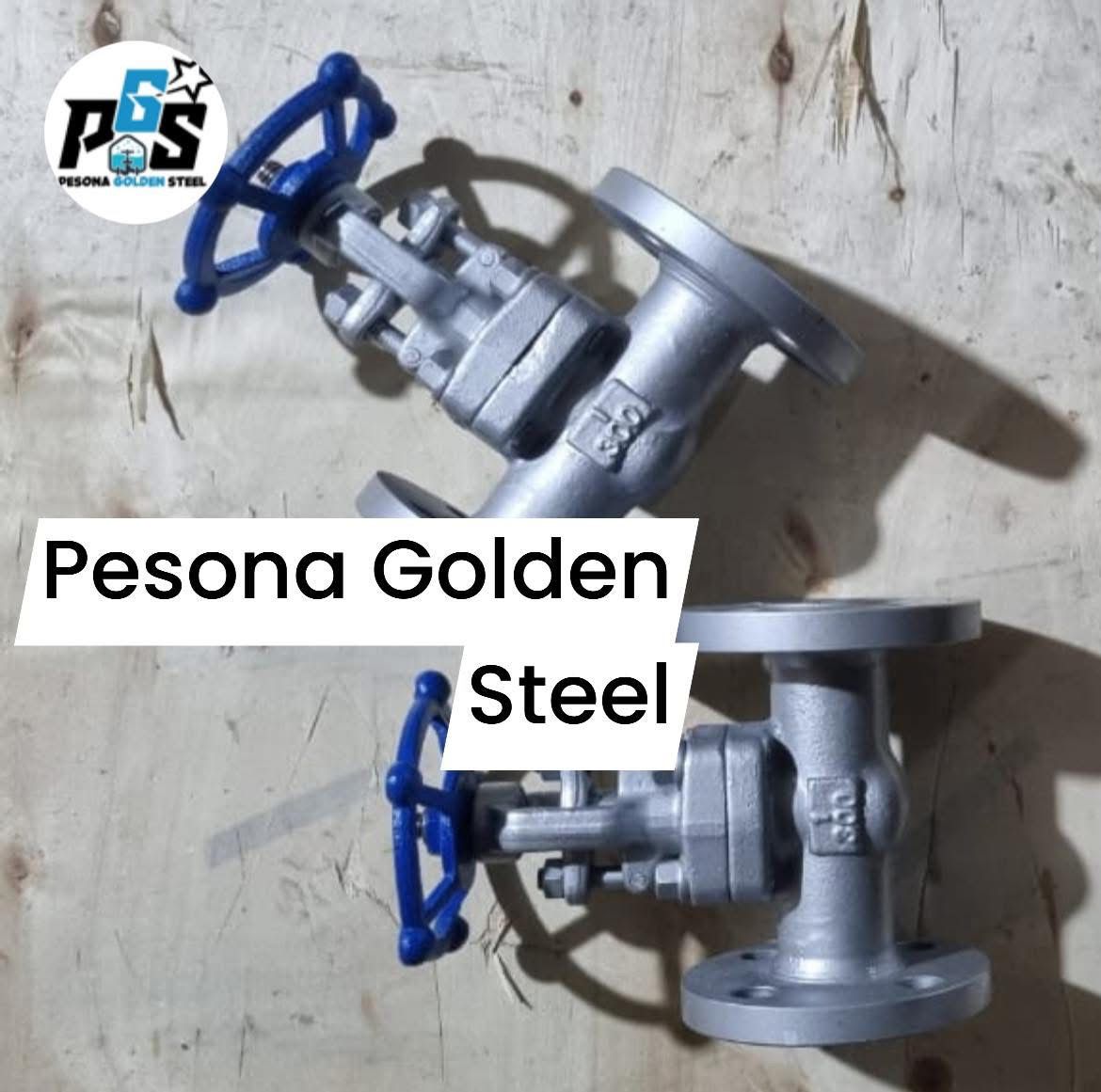 Globe Valve